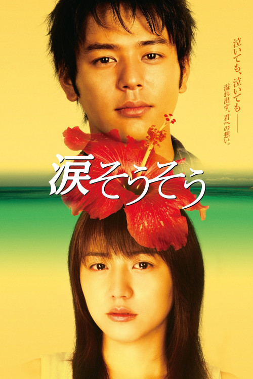 Nada sô sô (2006) poster