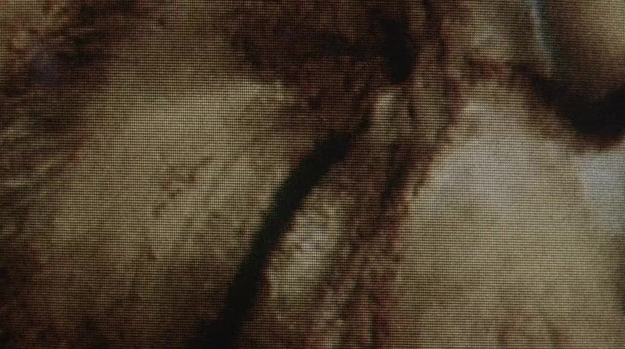 Nail in the Coffin: The Fall and Rise of Vampiro screenshot 1