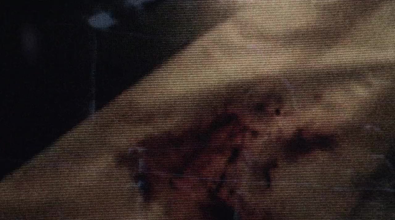 Nail in the Coffin: The Fall and Rise of Vampiro screenshot 2