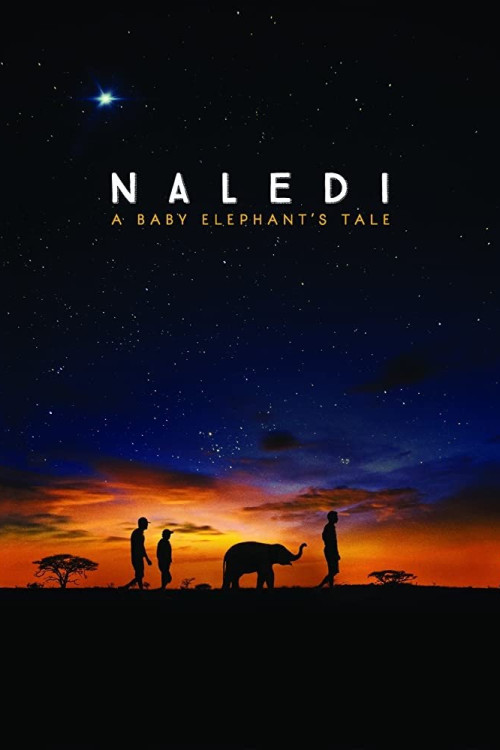 Naledi: A Baby Elephant's Tale (2016) poster