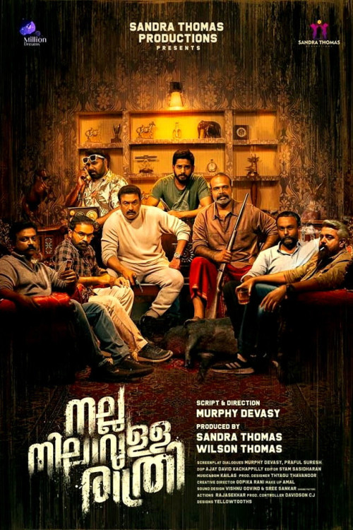 Nalla Nilavulla Rathri (2023) poster