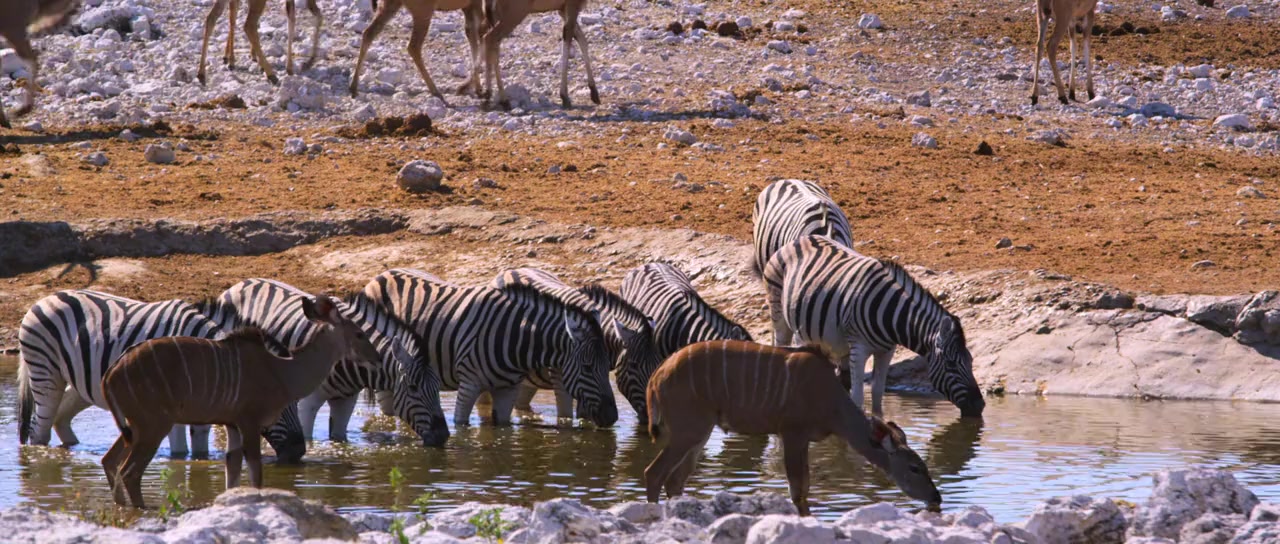 Namibia: The Spirit of Wilderness screenshot 1