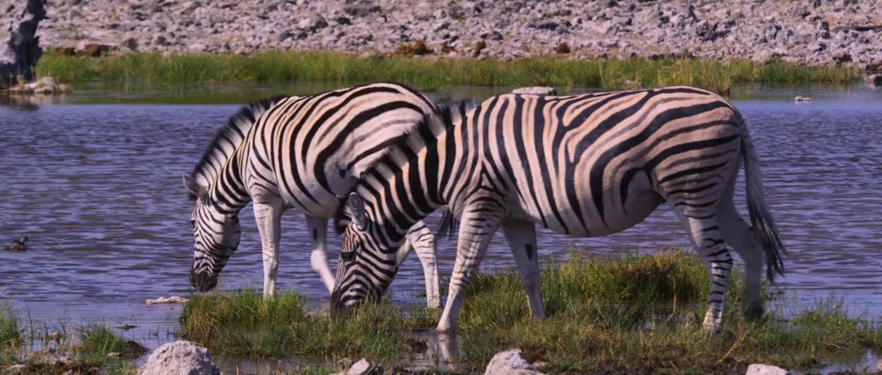 Namibia: The Spirit of Wilderness screenshot 3