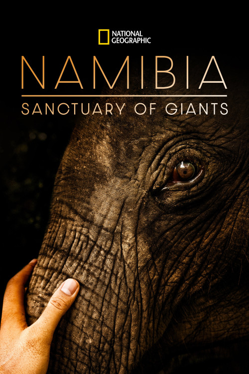 Namibia: Sanctuary of Giants (2016) poster
