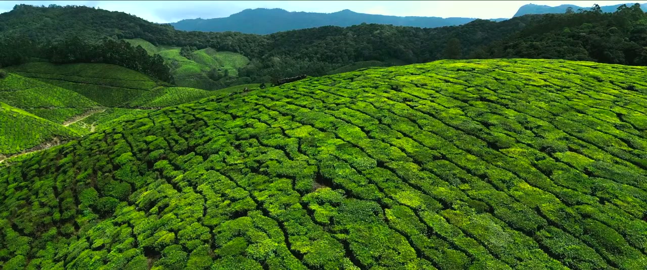 Nari Nari Naduma Murari screenshot 1