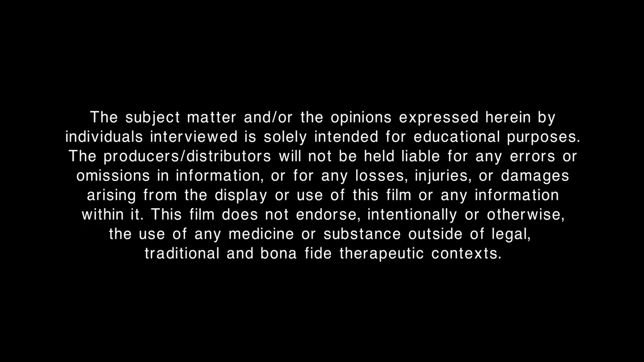 Neurons to Nirvana screenshot 2