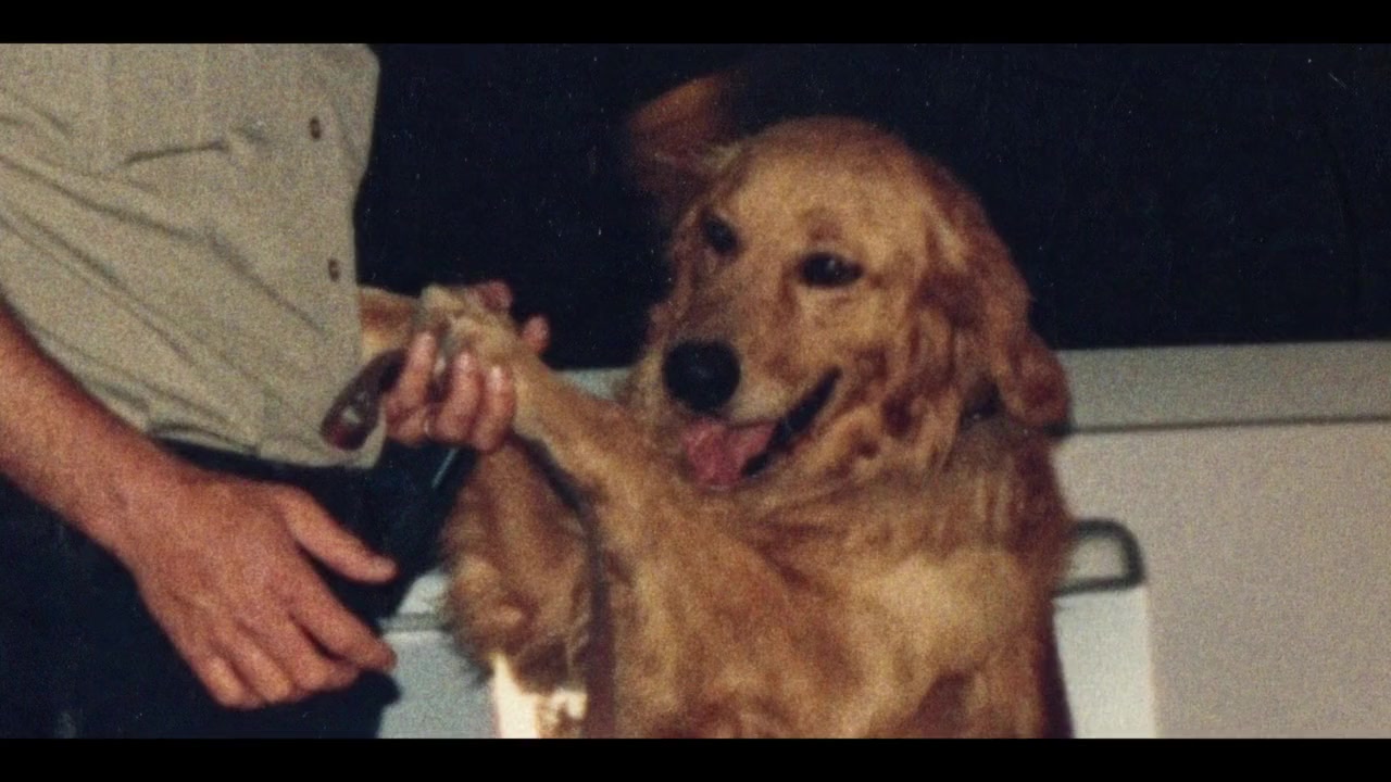 Never Get Busted! screenshot 3