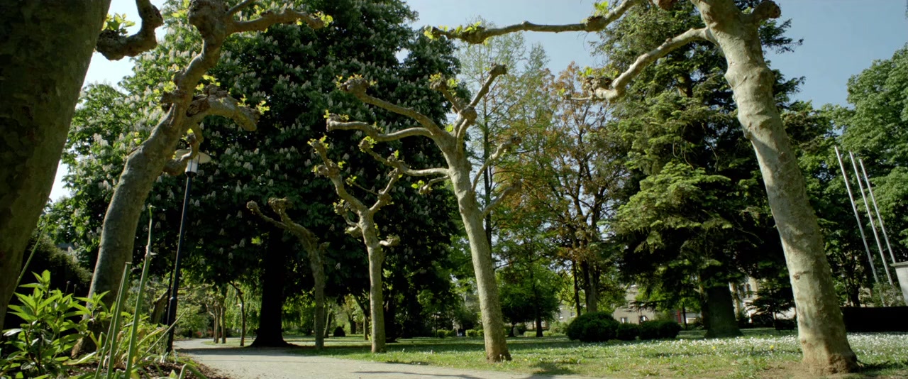 Never Die Young screenshot 1