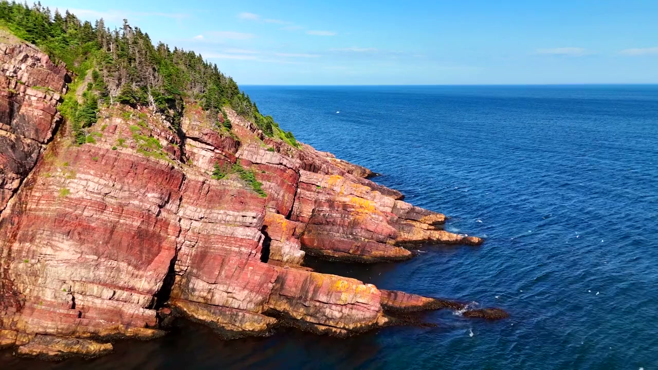 Newfoundland screenshot 2
