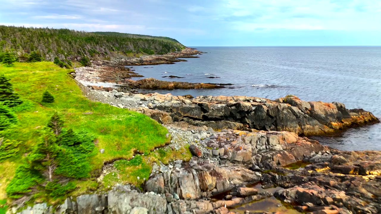 Newfoundland screenshot 3