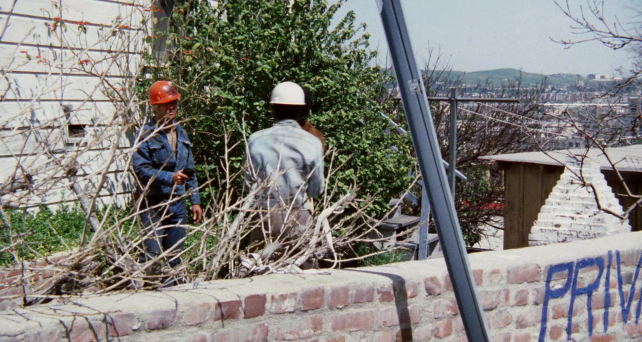 Newman's Law screenshot 1