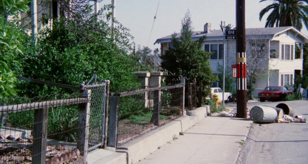 Newman's Law screenshot 2