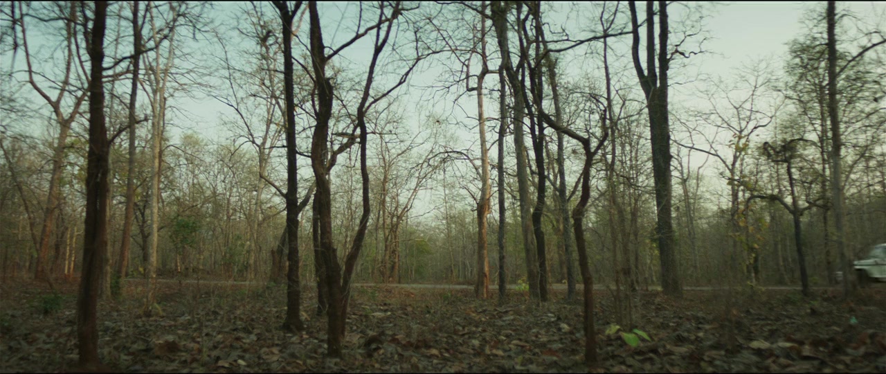 Newton screenshot 1