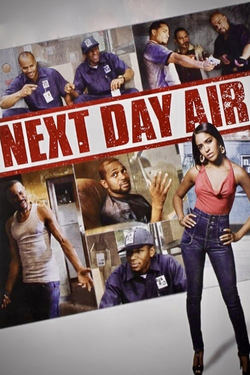 Next Day Air (2009) poster