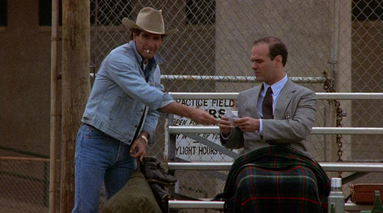 Necessary Roughness screenshot 1