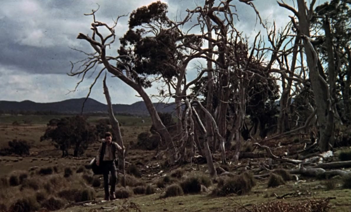 Ned Kelly screenshot 1