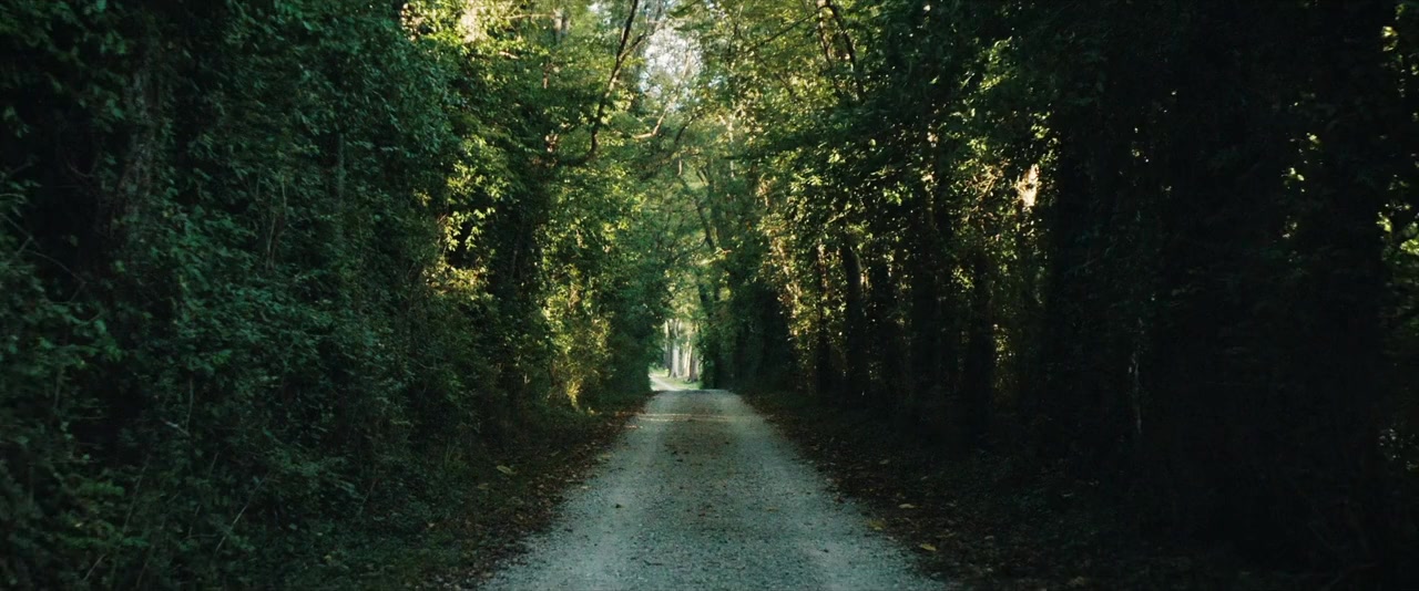 Into the Mystery screenshot 2