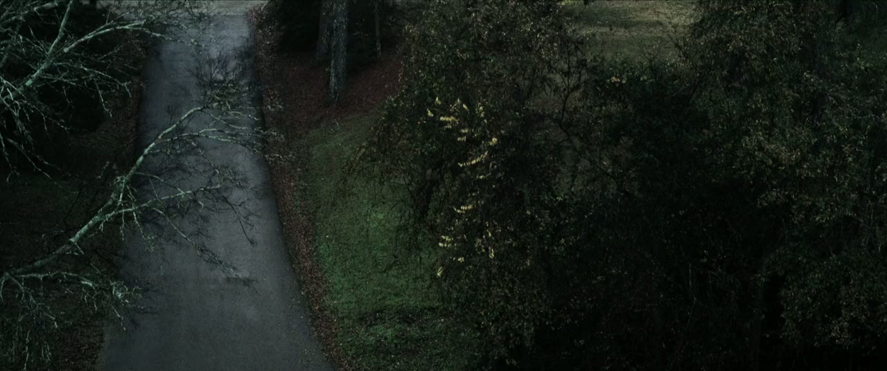 Neglected screenshot 2