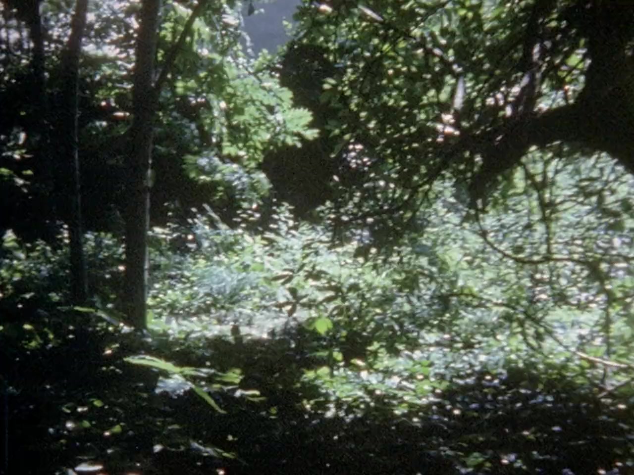 Nekromantik 2 screenshot 1