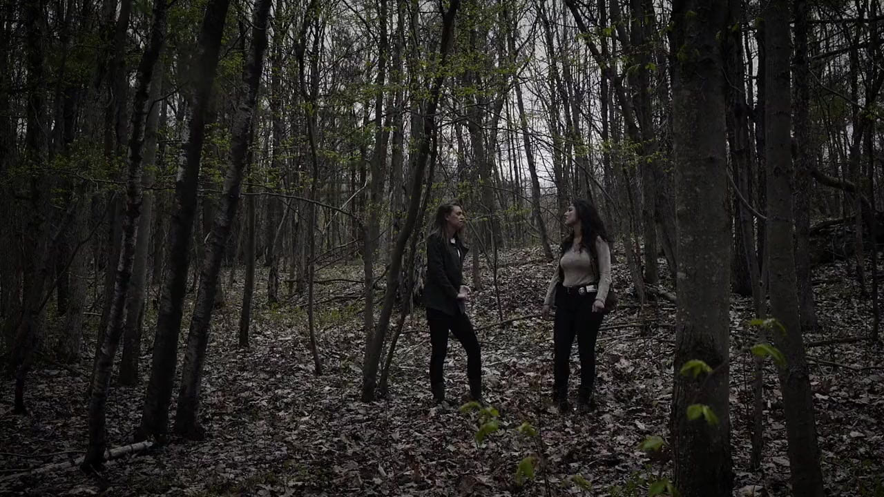Nemesis screenshot 1