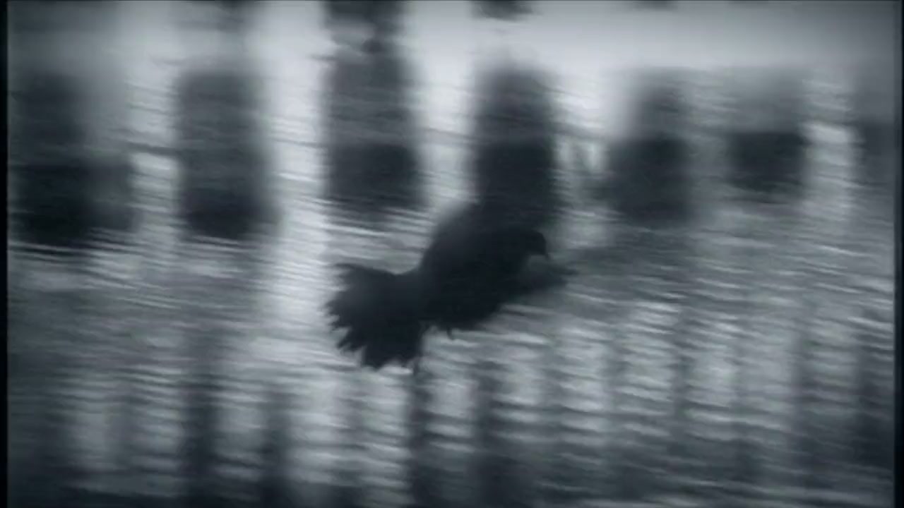 N[eon] screenshot 1