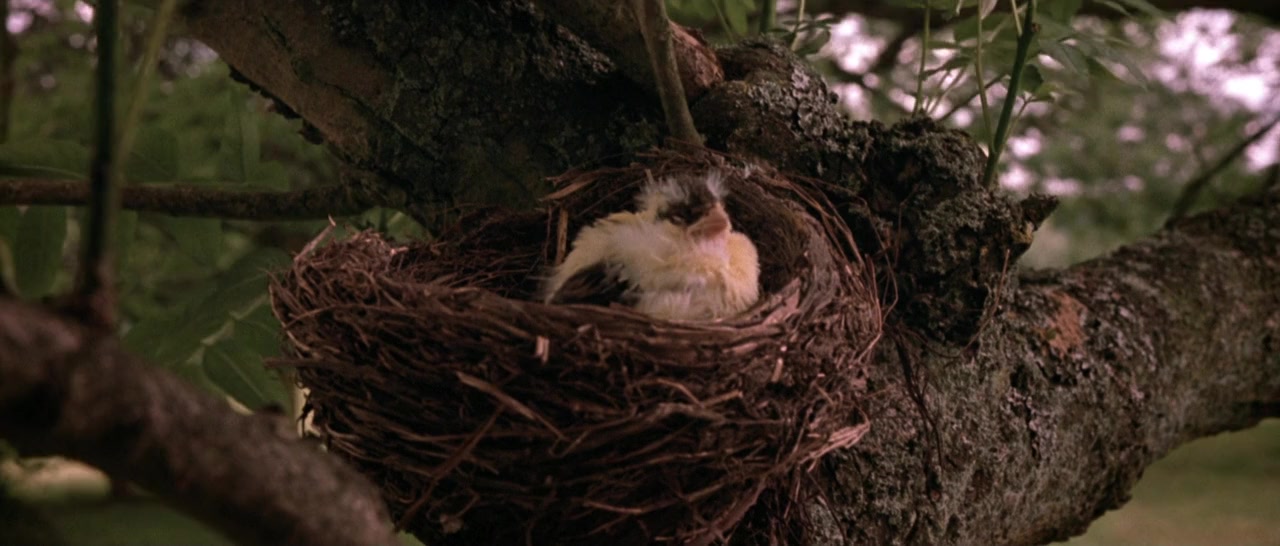 Nicholas Nickleby screenshot 2