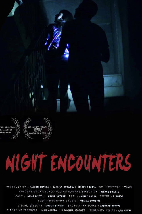 Night Encounters (2023) poster