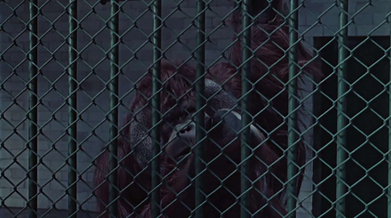 La horripilante bestia humana screenshot 1