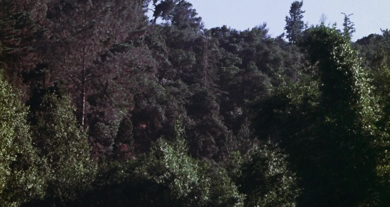 Night of the Demon screenshot 1