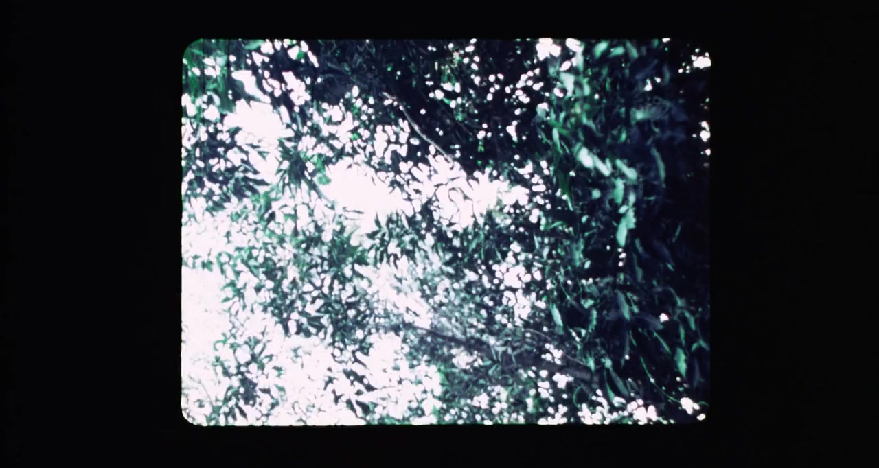 Night of the Demon screenshot 2
