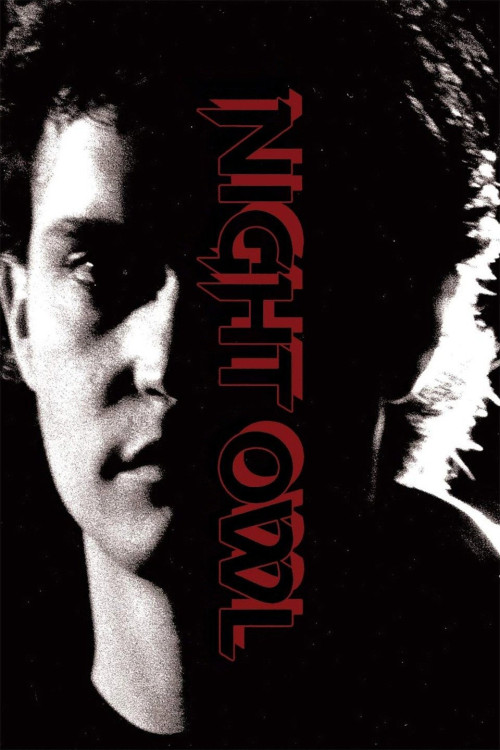 Night Owl (1993) poster