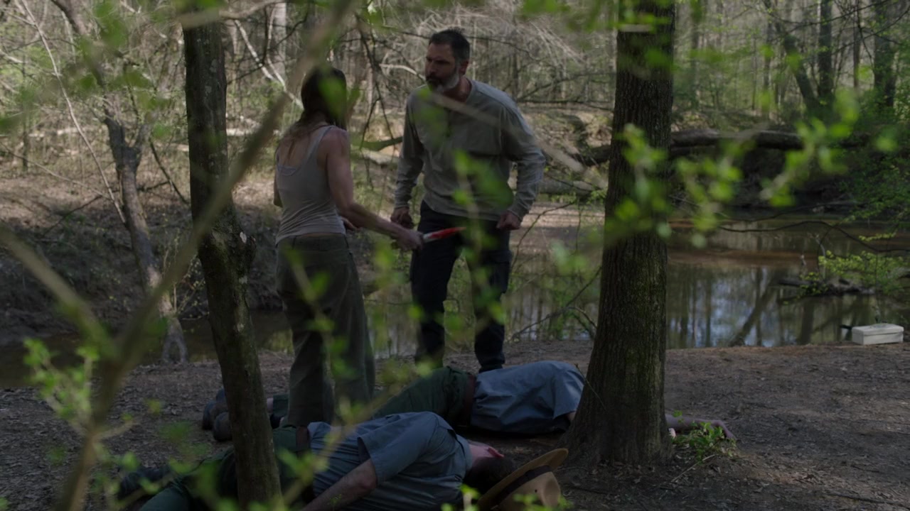 Night Shoot screenshot 3