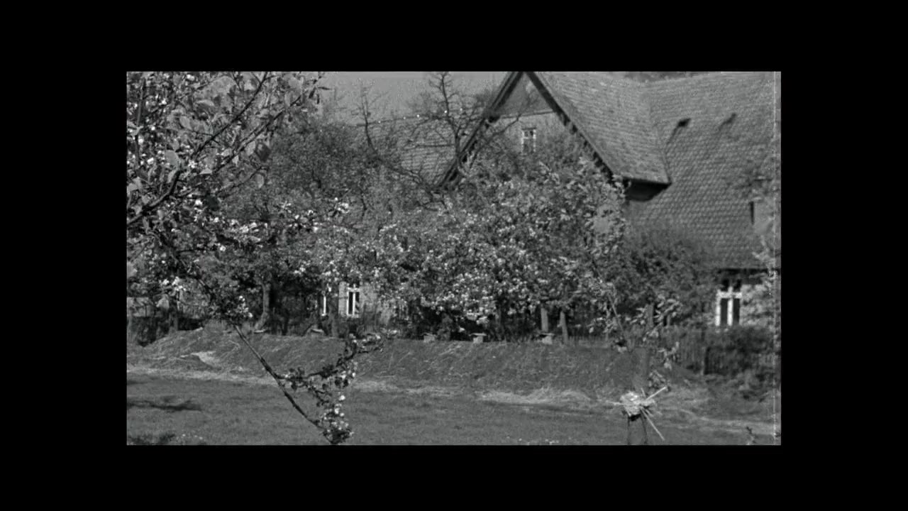 Night Will Fall screenshot 3