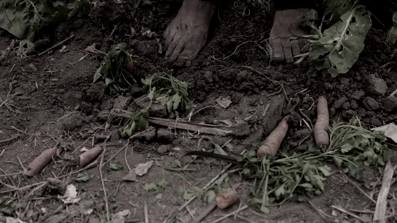 Nine Meals from Chaos screenshot 2