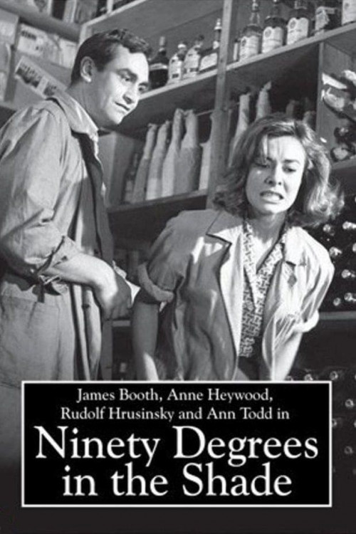 90 Degrees in the Shade (1965) poster