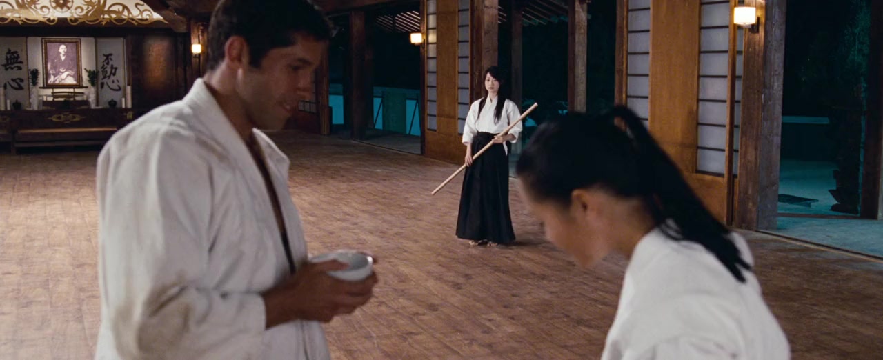 Ninja screenshot 3