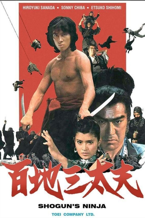 Ninja bugeicho momochi sandayu (1980) poster