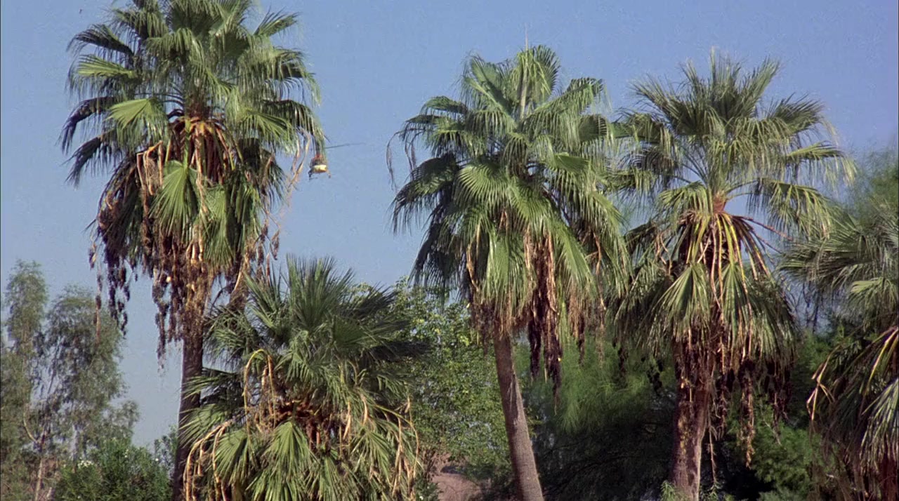 Ninja III: The Domination screenshot 1