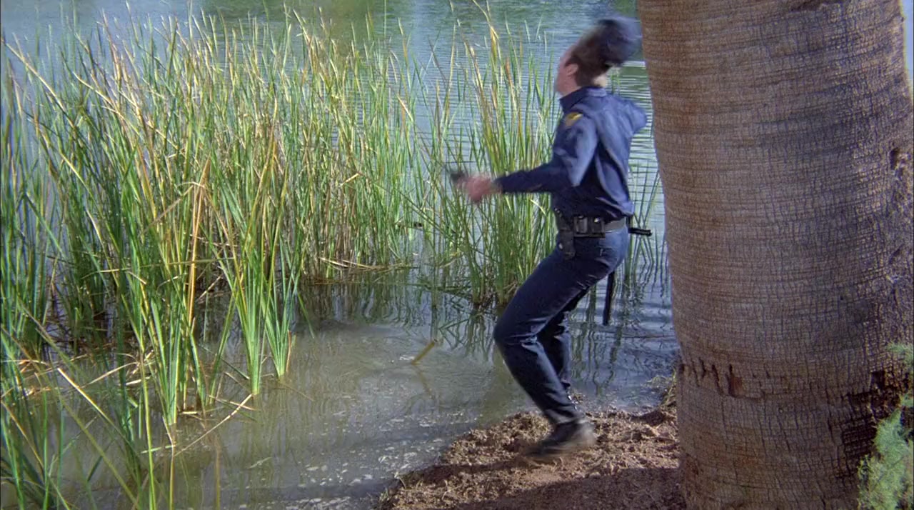 Ninja III: The Domination screenshot 2