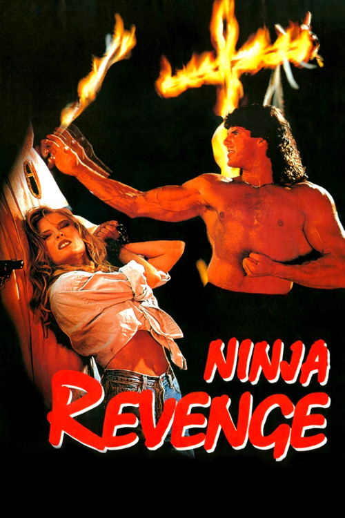 Ninja Vengeance (1993) poster