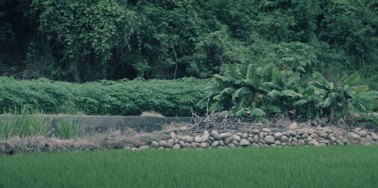 Nühai screenshot 2