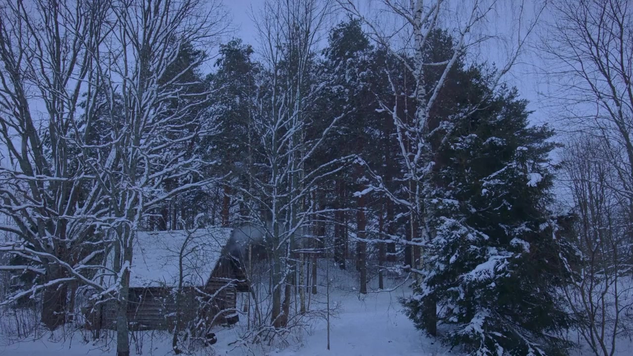 Savvusanna sõsarad screenshot 1