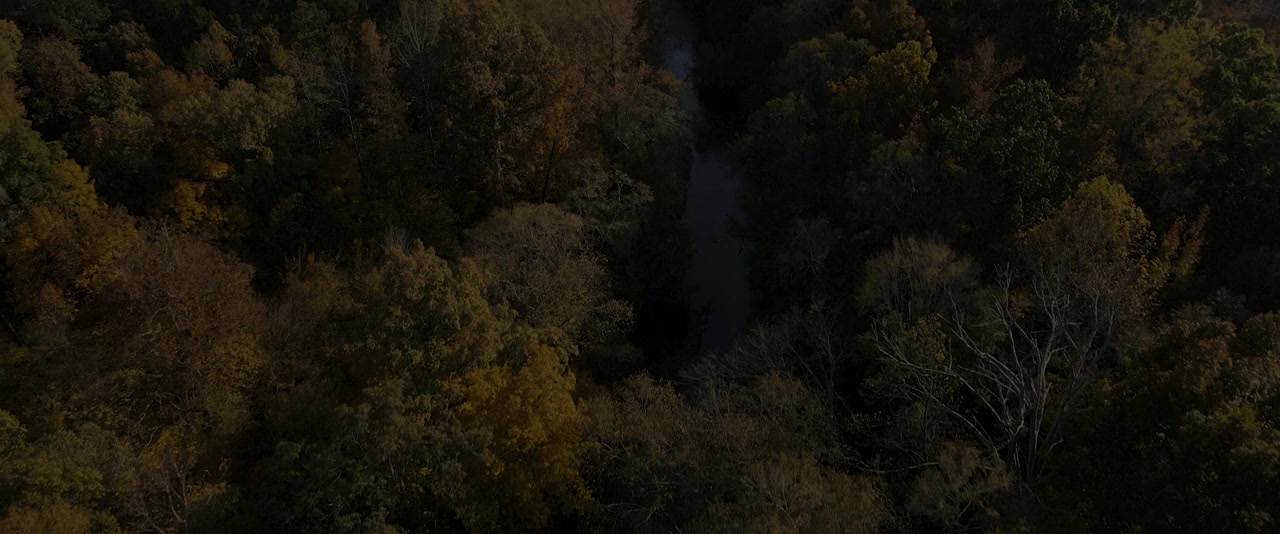 Snake Creek screenshot 3