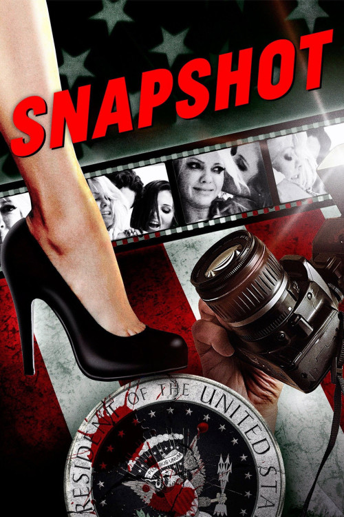 Snapshot (2014) poster