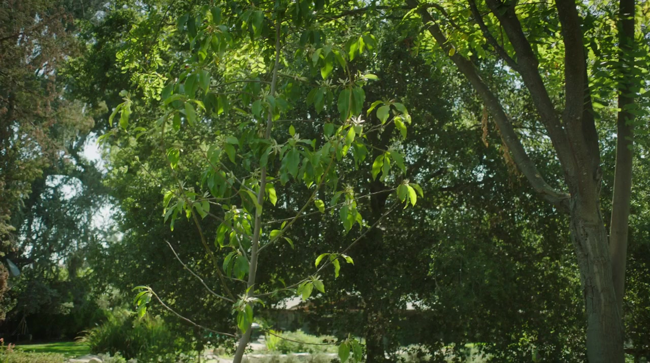 Snapshots screenshot 2