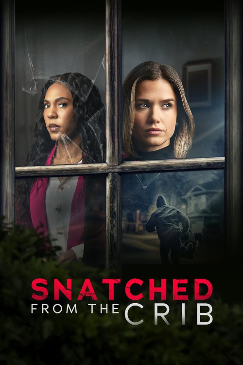 Snatched from the Crib (2025) poster