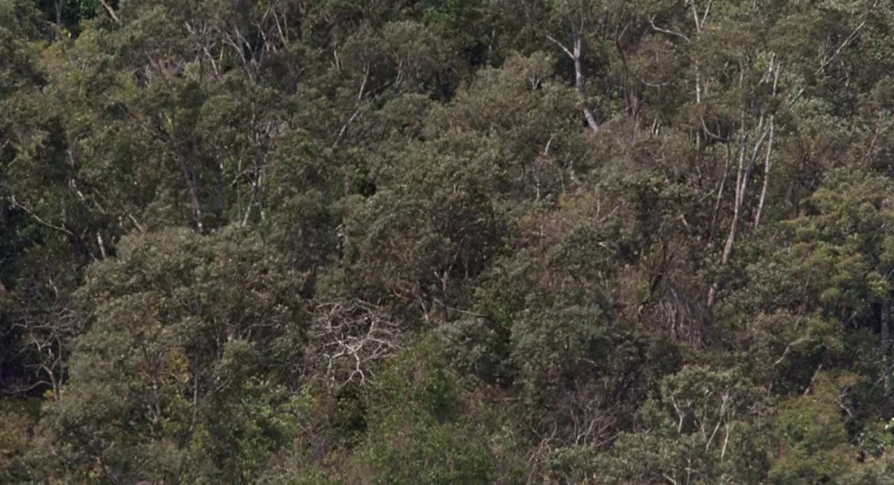 Sniper screenshot 2