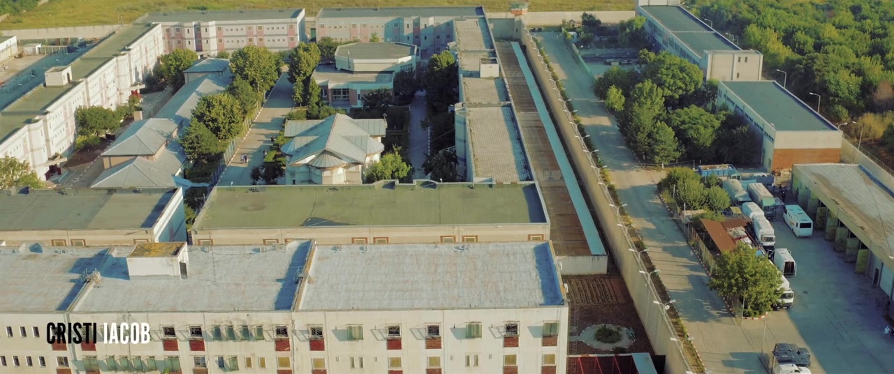 Zapada, Ceai si Dragoste screenshot 1