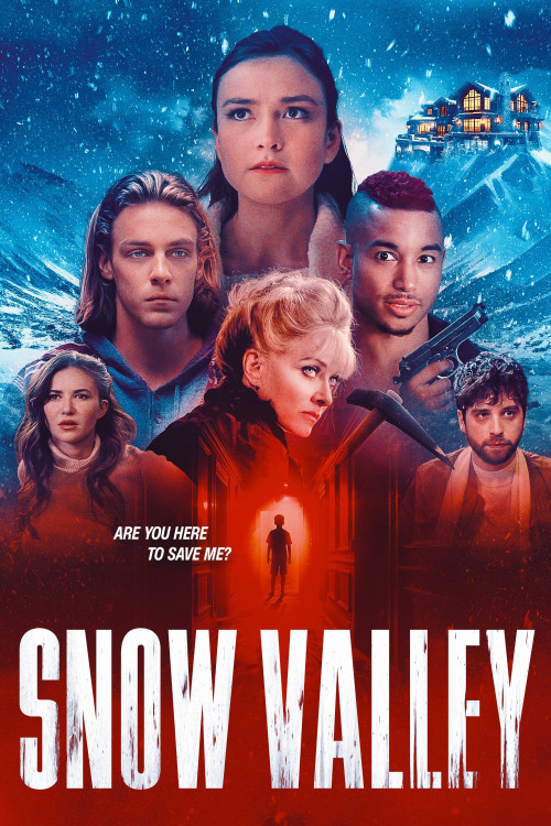 Snow Valley (2024) poster