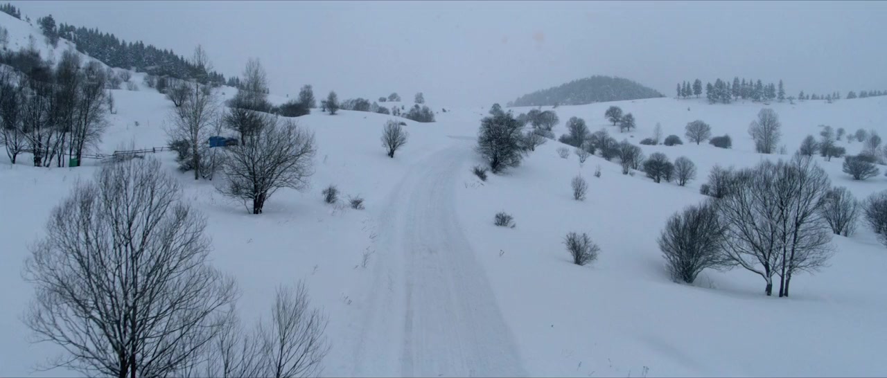 Kar ve Ayi screenshot 2